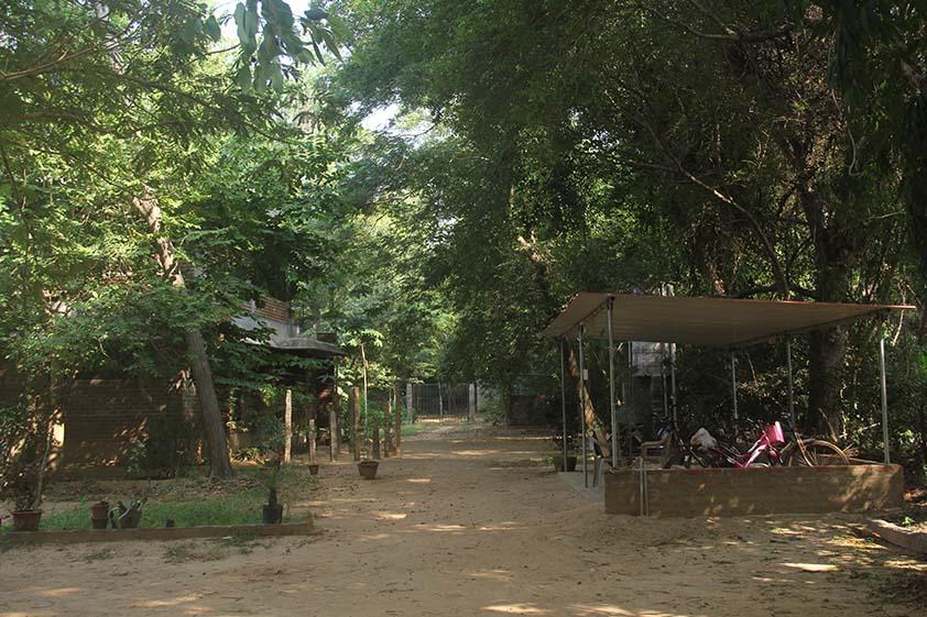 The Annex, Isai Ambalam Guest House Auroville Eksteriør billede